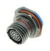AMPHENOL LTD D38999/24FF32JA