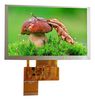 MIDAS DISPLAYS MDT5000