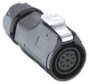 LUMBERG 026520 04