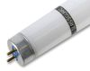 GLASSGUARD 3684/S