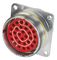 CINCH CONNECTIVITY SOLUTIONS BACC63BV24H30SN