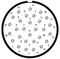 AMPHENOL LTD D38999/24WJ29SB-LC