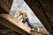 DEWALT WORKWEAR PRO TRADESMAN 32/31