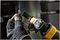DEWALT DT20701-QZ